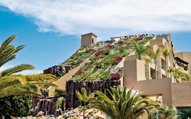 Steep pitched green roof in full blossom